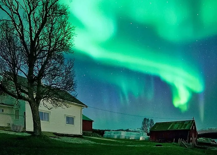 8 Person Holiday In Kval Ya Ferienhaus Marisletta